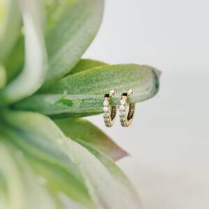 Small Earrings